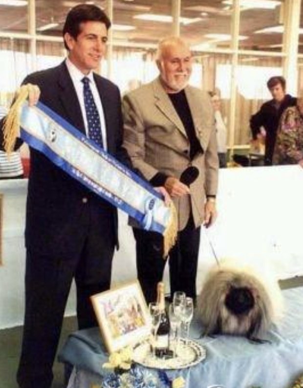 родословная собак пекинес щенок