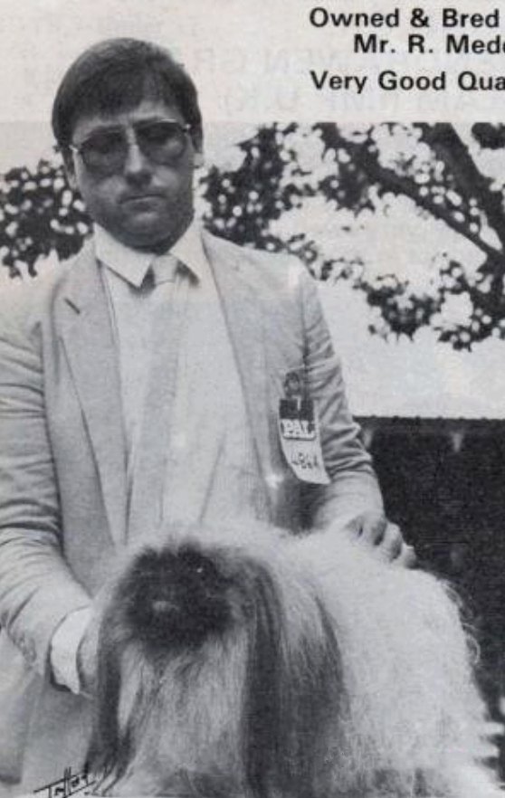 родословная собак пекинес щенок