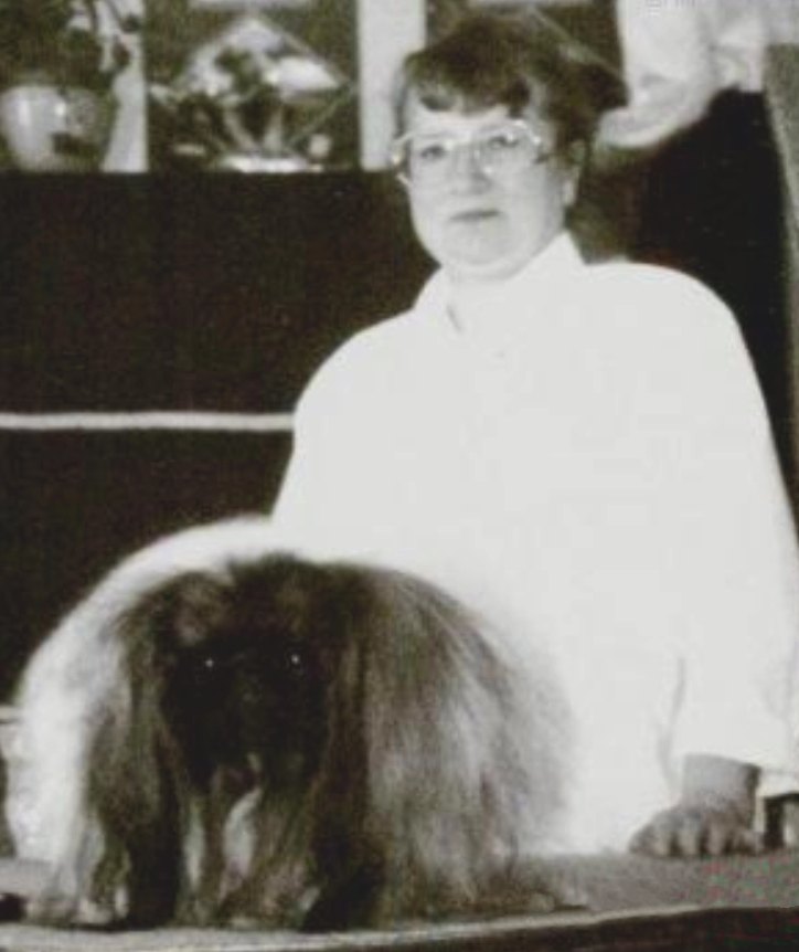 родословная собак пекинес щенок