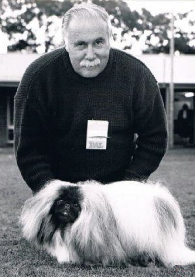 родословная собак пекинес щенок