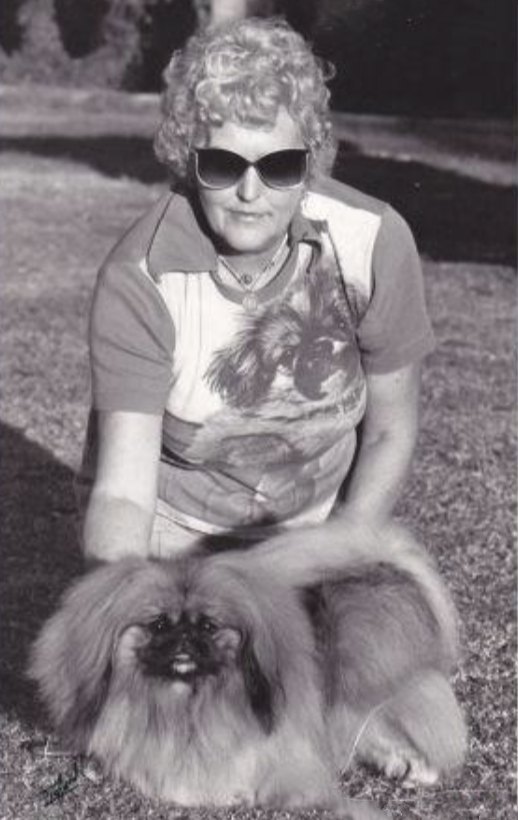 родословная собак пекинес щенок