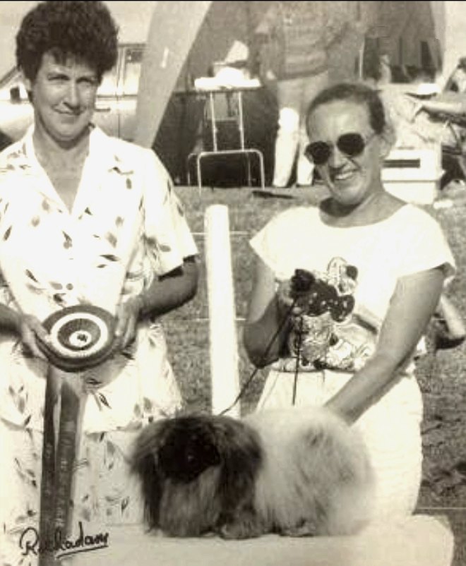 родословная собак пекинес щенок