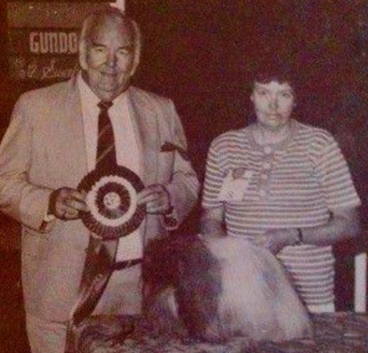 родословная собак пекинес щенок