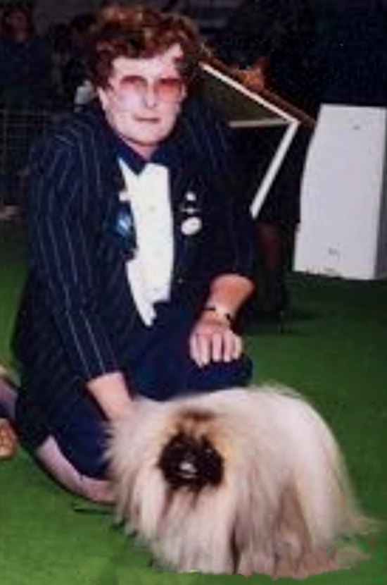 родословная собак пекинес щенок